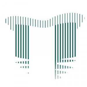 Logo silva.builders on Presscloud